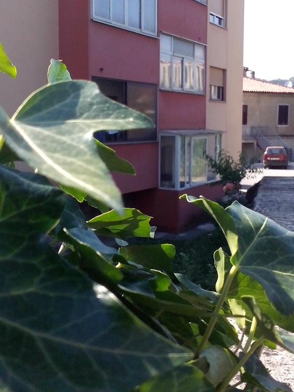 Apartment Sanja Pazin Cameră foto