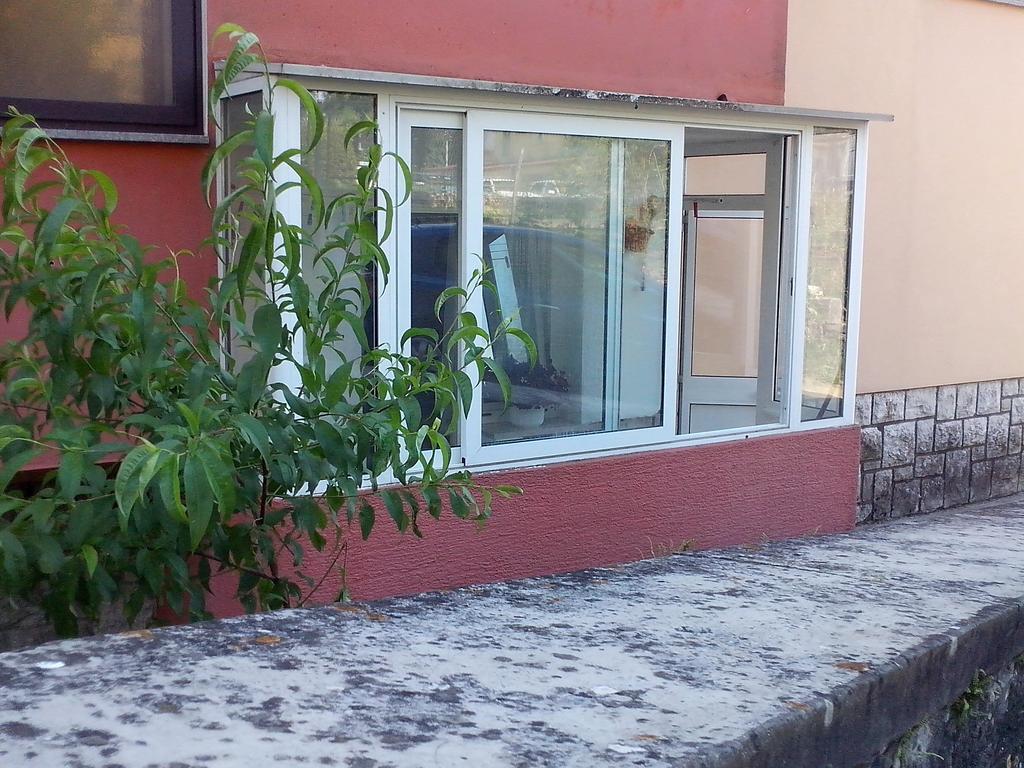 Apartment Sanja Pazin Cameră foto